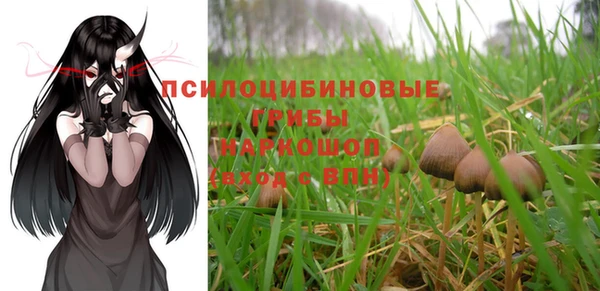 ГАЛЛЮЦИНОГЕННЫЕ ГРИБЫ Абаза