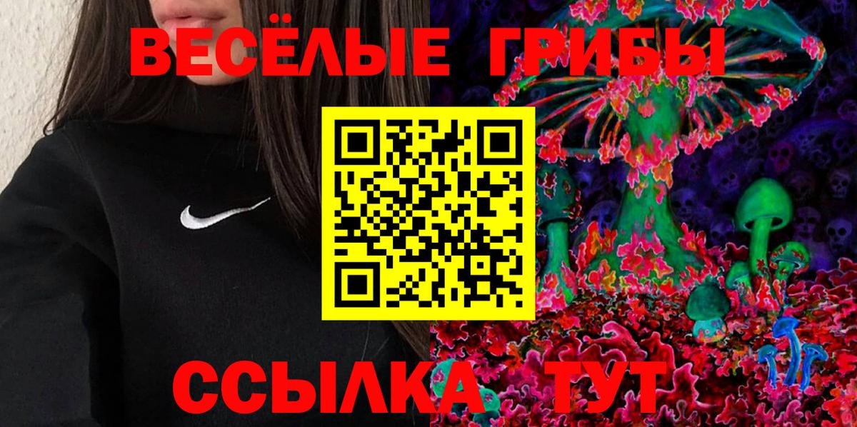 Знаменск  Галлюциногенные грибы мицелий  Вход с VPN 