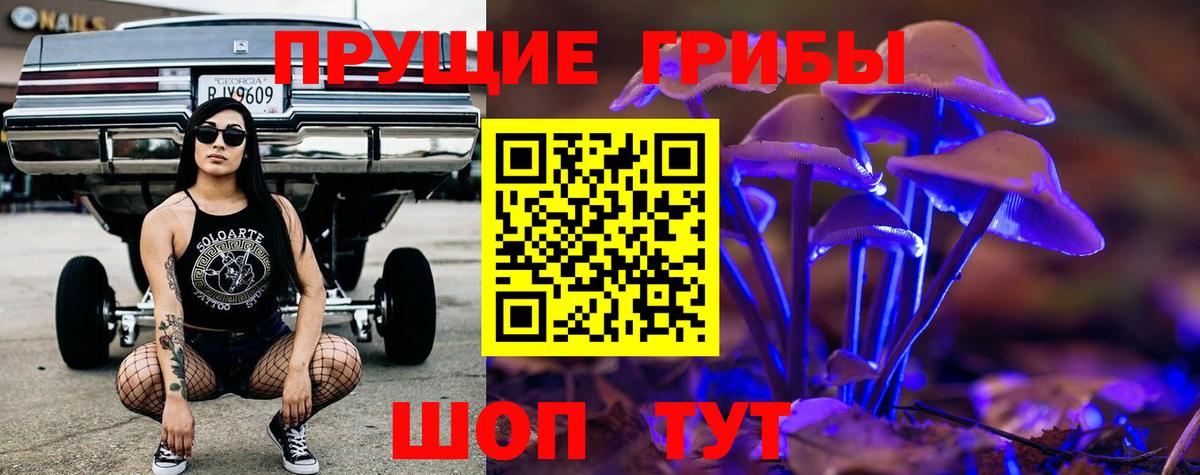 Галлюциногенные грибы Magic Shrooms Знаменск